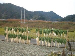 冬の風物詩ですう～