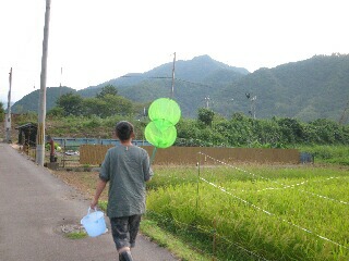 さあ、メダカ捕りに行くぞー