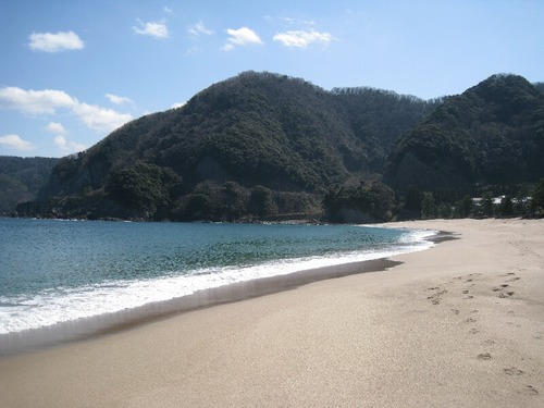 早春の浜辺（訓谷浜）