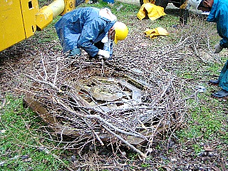 コウノトリの巣（人工）