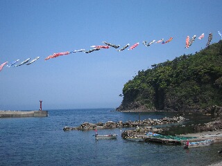 海の上にコイノボリがずらり