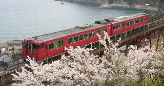 餘部鉄橋の桜満開、くいだおれ人形どうなるの？