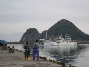 松葉ガニ漁解禁　初せり・・・