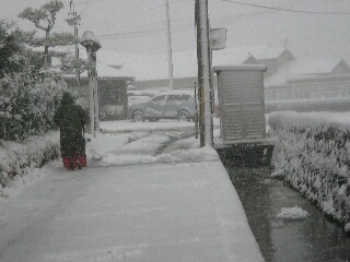 雪で真っ白に