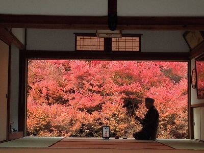 ドウダンツツジの燃えるような紅葉が・・・