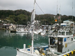 沖浦地区は漁業がさかんなところですが・・・