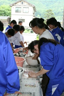 イワシのみりん干しづくり