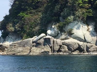 白石島の一部