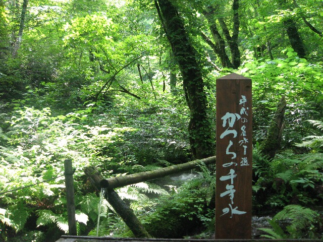 かつらの千年水