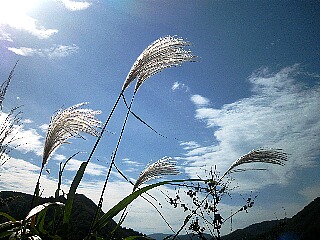 秋の空７