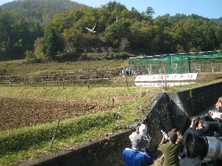 元気よく飛び出したコウノトリ