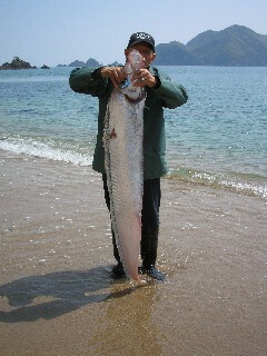 謎の深海魚