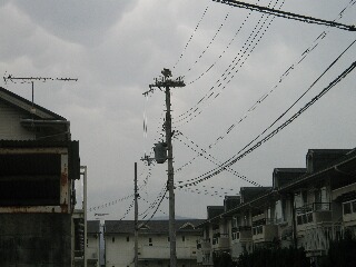 住宅街の電柱に巣