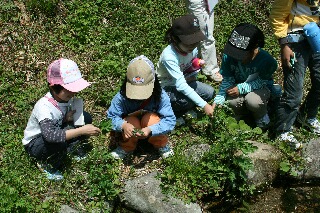 野草を摘む子どもたち