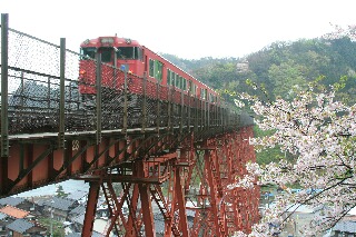 鉄橋と散る桜