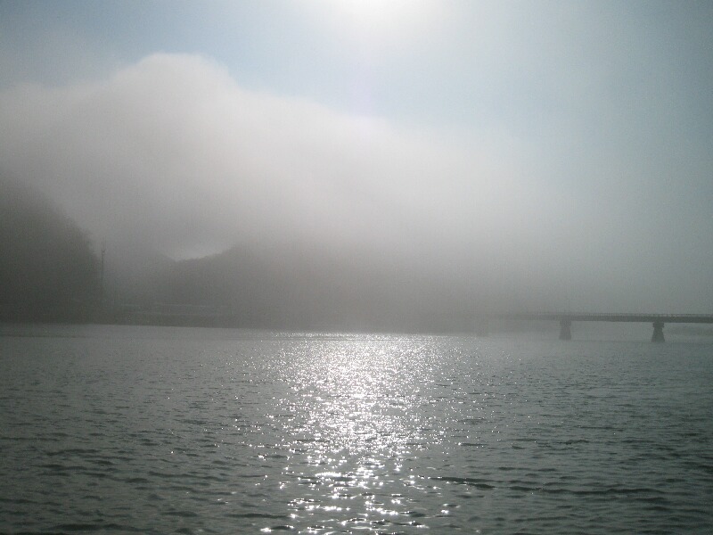冬霧の円山川