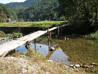 木の橋