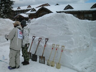 雪の塊から何ができるかな？