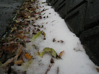 落ち葉と雪