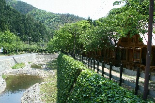 タケノコ村