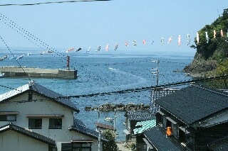 鎧漁港の鯉幟は5月2日から5月9日まで