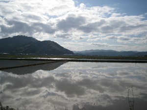 空が田んぼの水に映ってすごい！風景