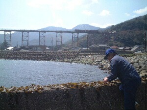 海から見た餘部鉄橋