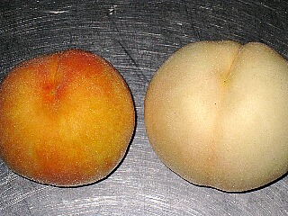 黄桃と白桃