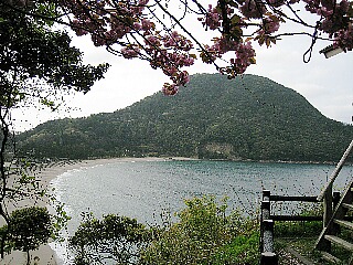 八重桜のある高台「山番」からの眺め