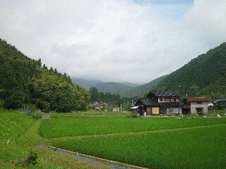 きょうから７月、香住のキキョウ寺で・・・