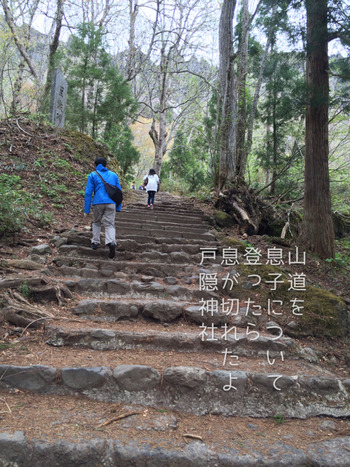 戸隠神社へ