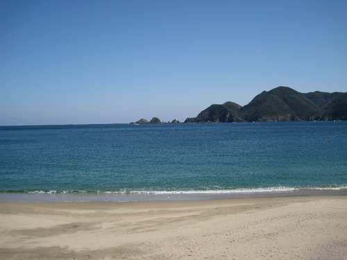 早春の海　浜辺　野山　草花