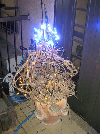 来年は明るい年に・・・