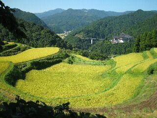 棚田１００選の和佐父西ケ岡の秋