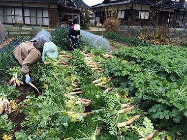 カニのお客様に絶品の漬物を出すために・・・