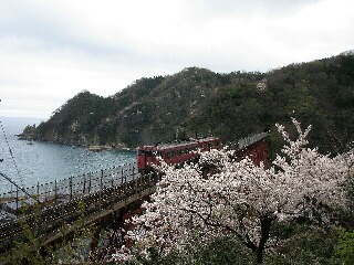 餘部鉄橋と桜