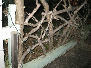 フェンスも木の枝で