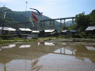 田植えの頃の餘部鉄橋