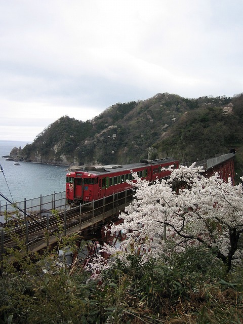 桜と餘部鉄橋