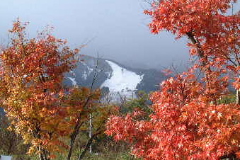 紅葉と初冠雪