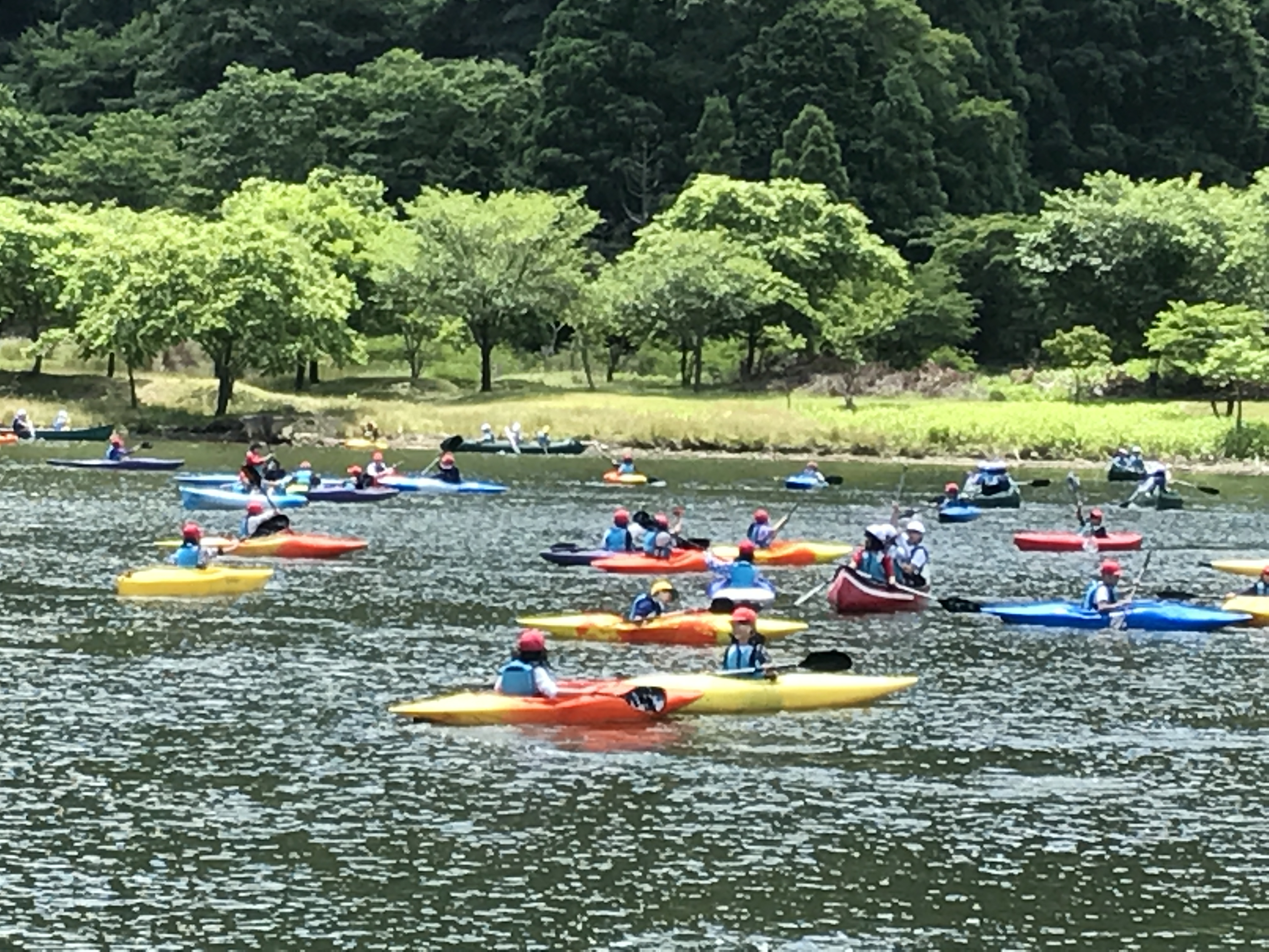 カヌー(川や海で）