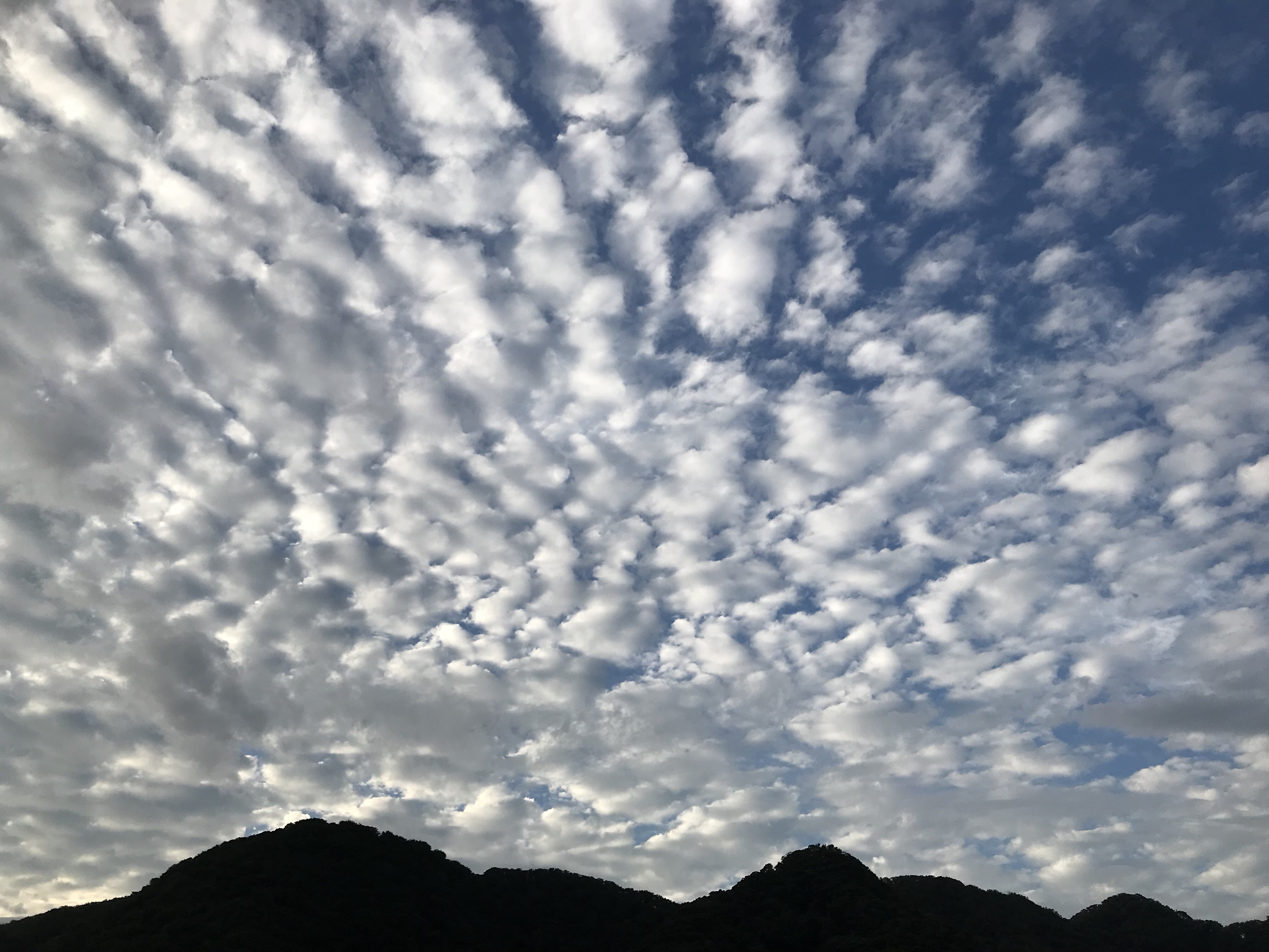 お盆の空