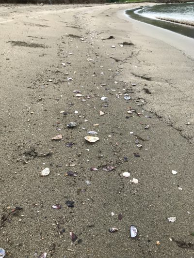 梅雨明けまだかなあ